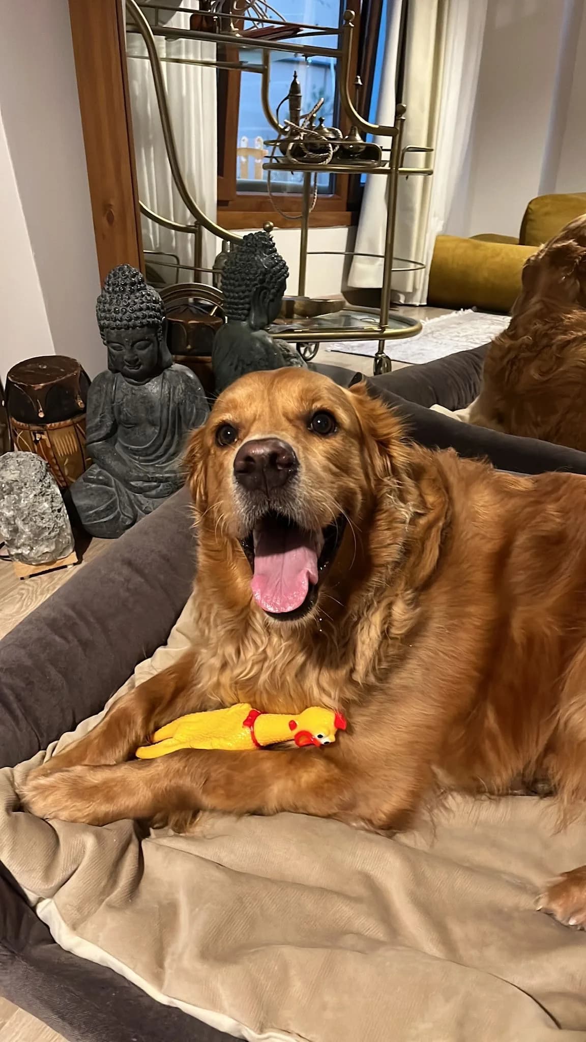 Kısır eğitimleri tam oğlumuz yuva arıyor